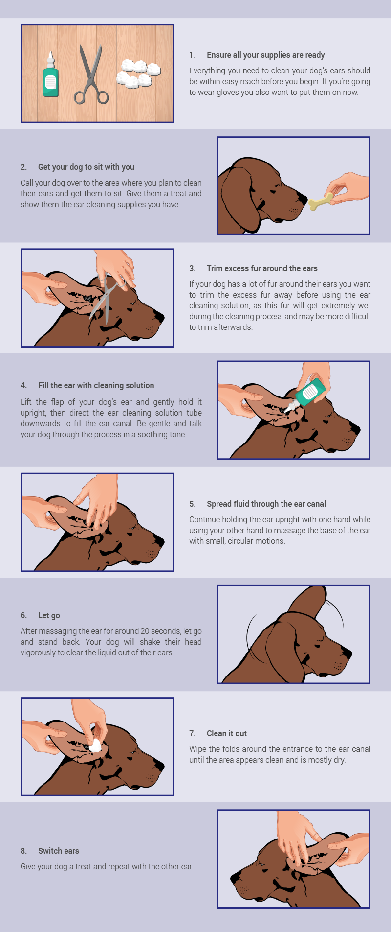 How To Clean Dog Ear Infection In Three Easy Steps Dog With Us