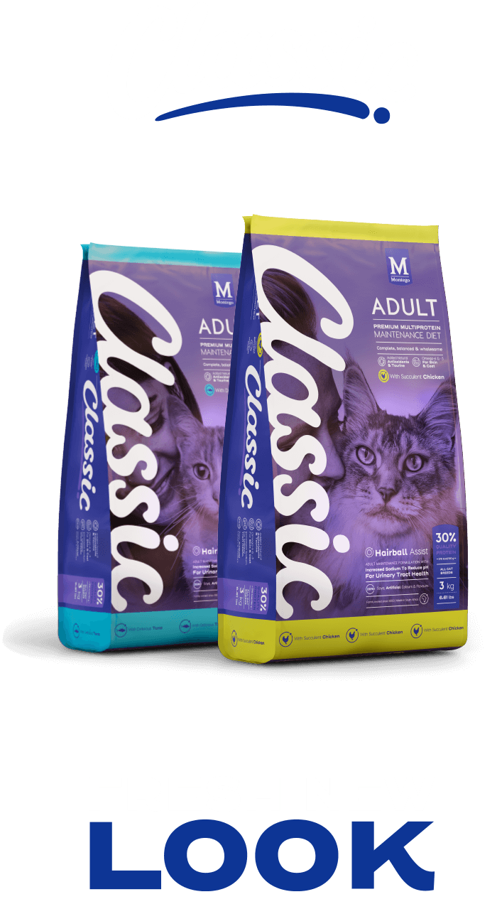 Montego cat food sales