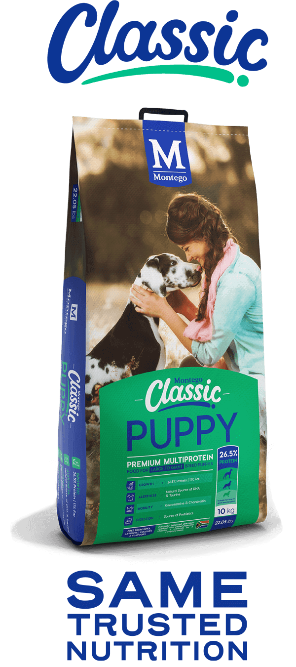 Montego Classic: Large to giant breed puppy