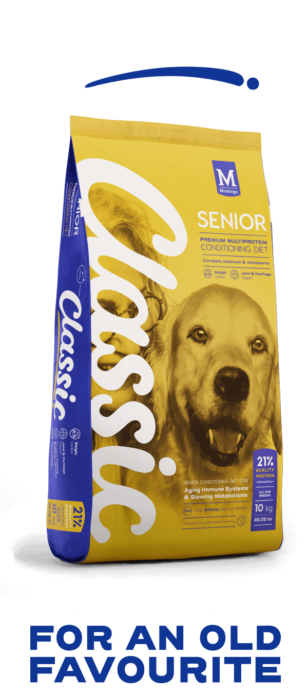 Montego Classic: Senior dog