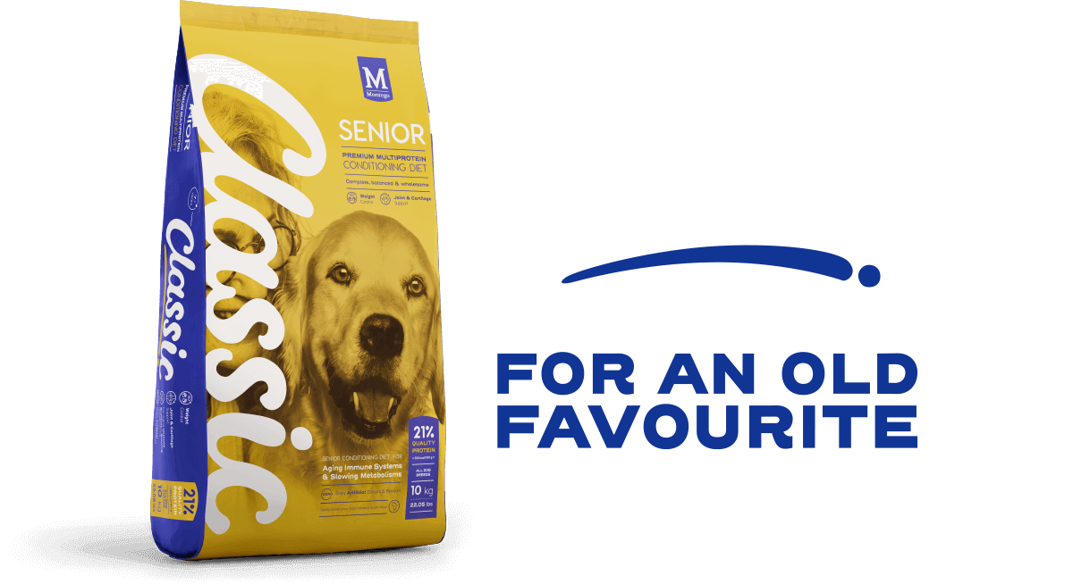 Montego Classic: Senior dog