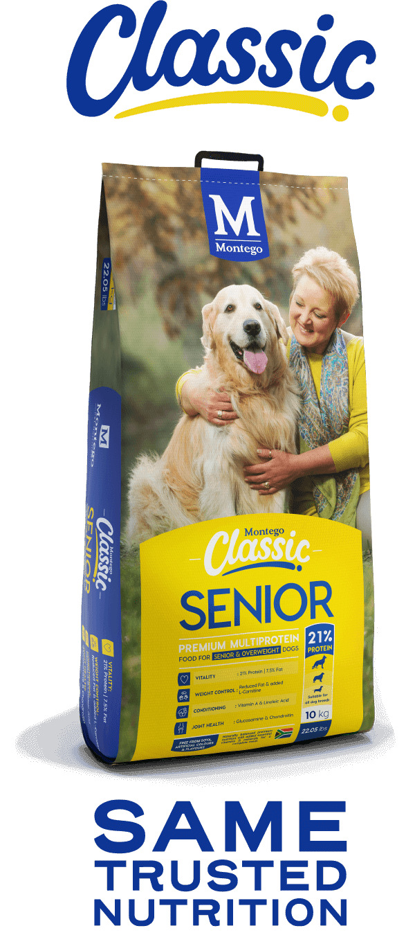 Montego Classic: Senior dog