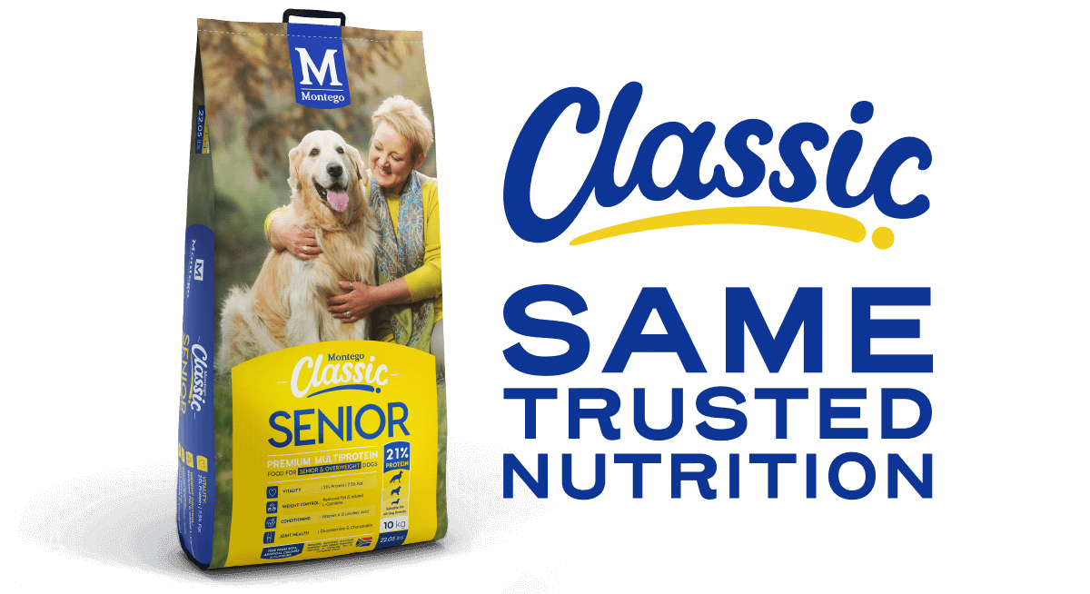 Montego Classic: Senior dog