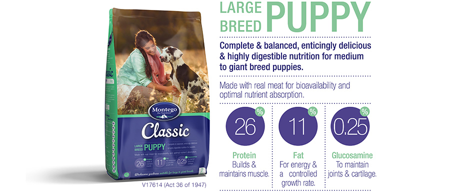 Large Breed Puppy Food