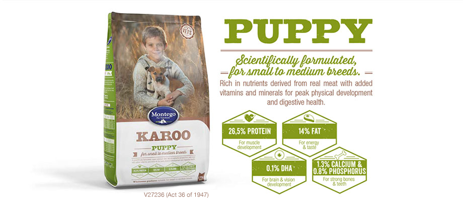 Small to Medium Breed Puppy Food