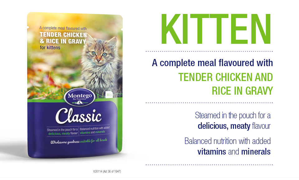 Wet Cat Food for Kittens