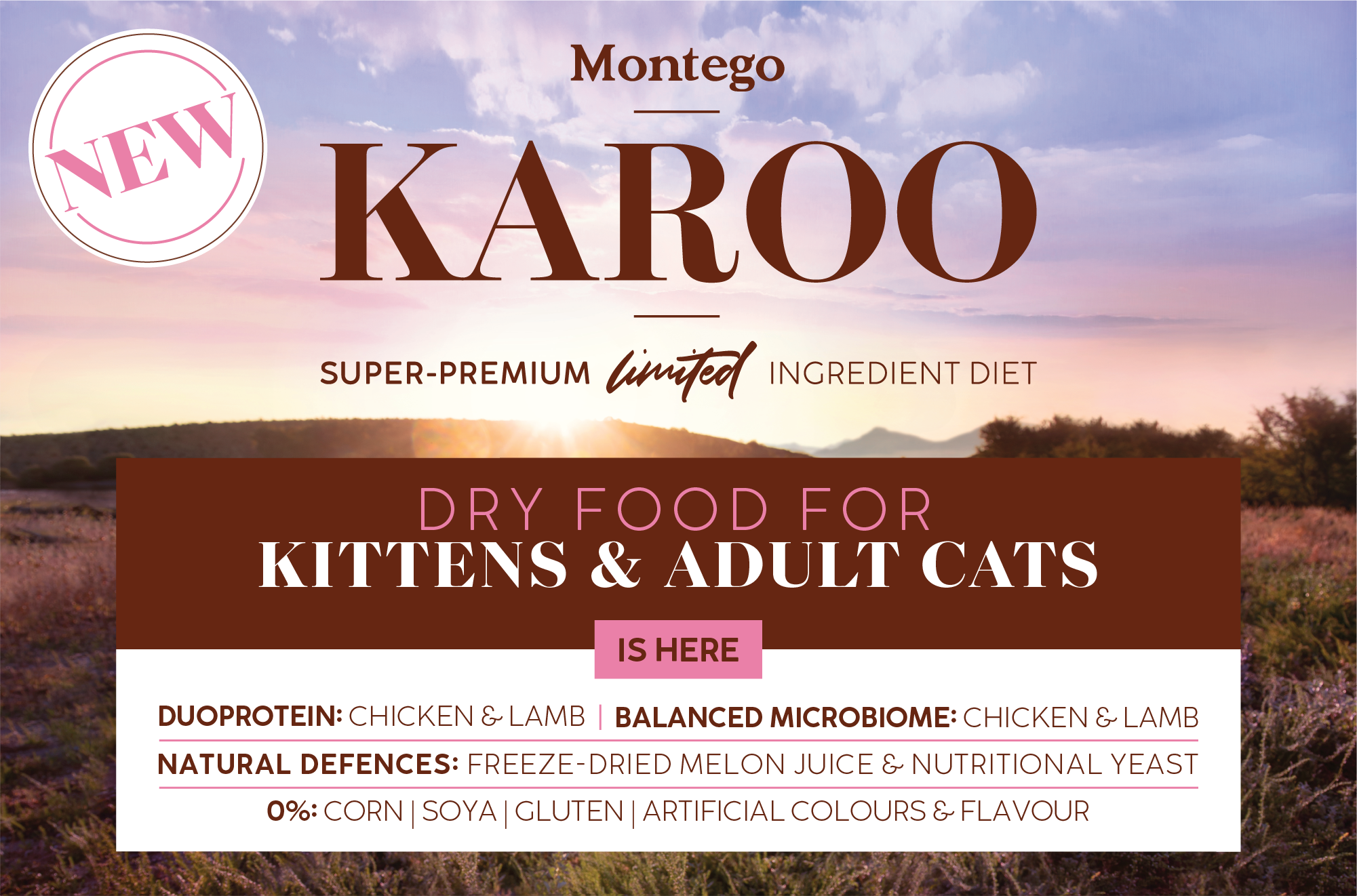 03378 MTGO KAROO CAT BLOG POST-02