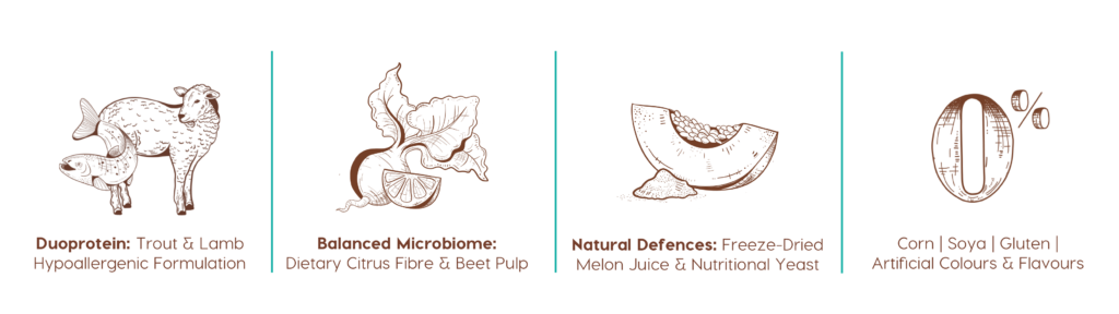 Karoo-Adult-Dog-Trout-Blog-benefits