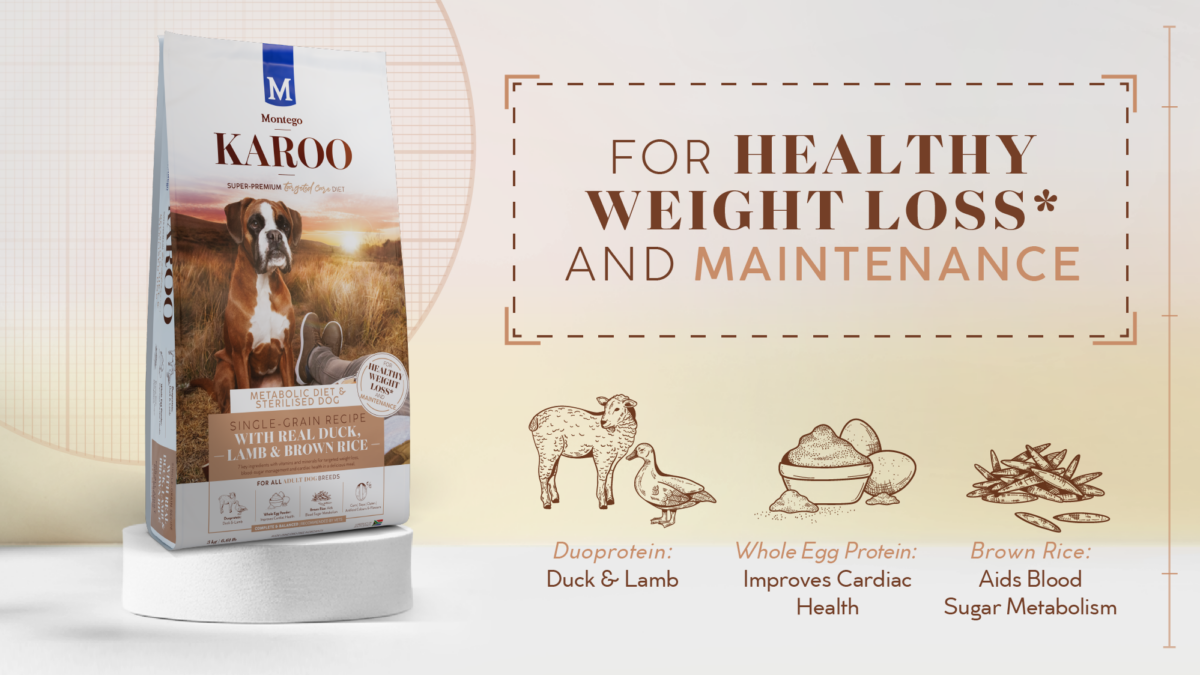 Meet new Targeted Care diets for adult dogs and cats from Karoo