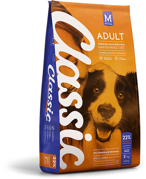 Classic All Breed Dry Food