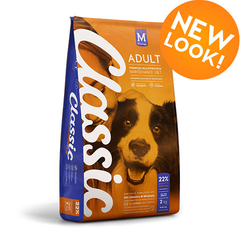 Classic All Breed Dry Food