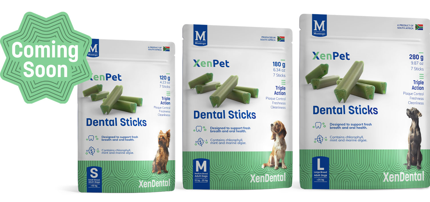 XenPet Dental Sticks
