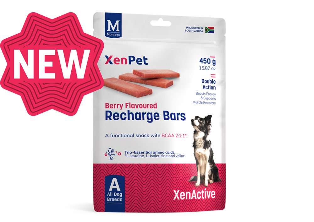 XenPet Recharge Bars - Berry Flavoured