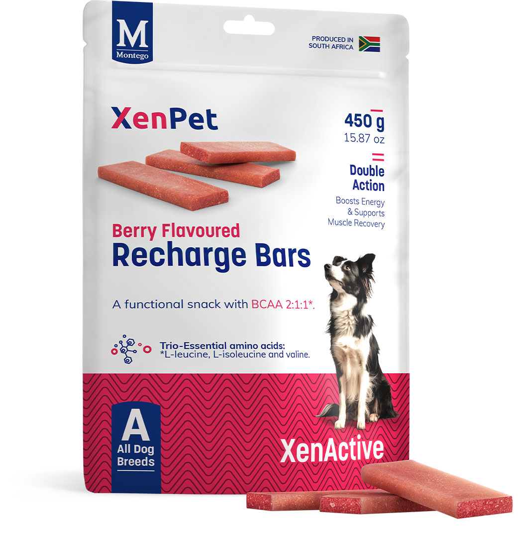 XenPet Recharge Bars - Berry Flavoured XenPet Recharge Bars - Berry Flavoured