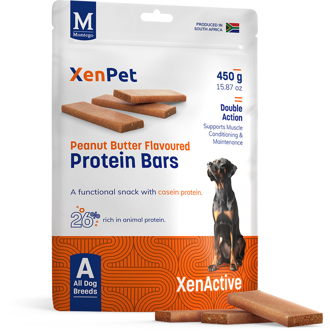 XenPet Protein Bars - Peanut Butter Flavoured XenPet Protein Bars - Peanut Butter Flavoured