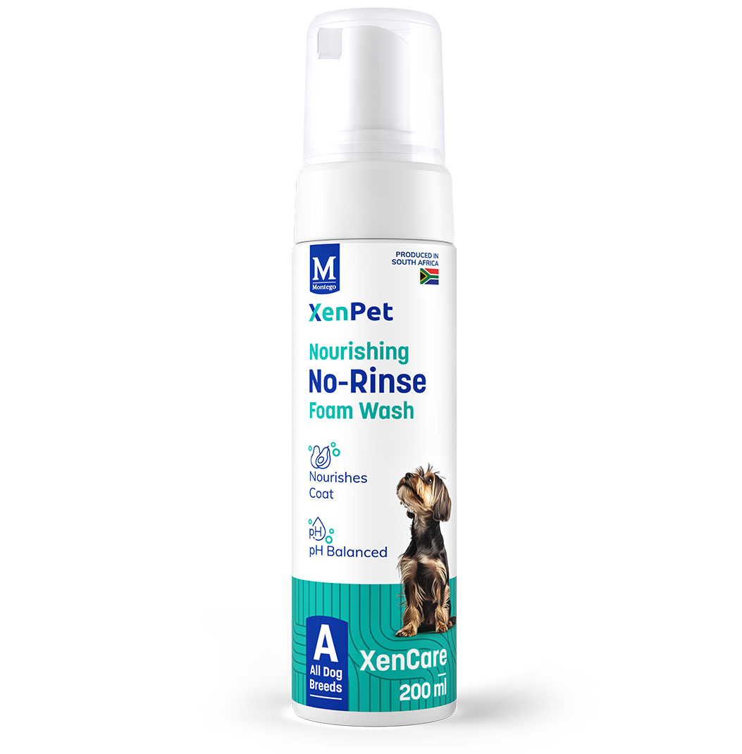 XenPet Grooming - Nourishing No-Rinse Foam Wash