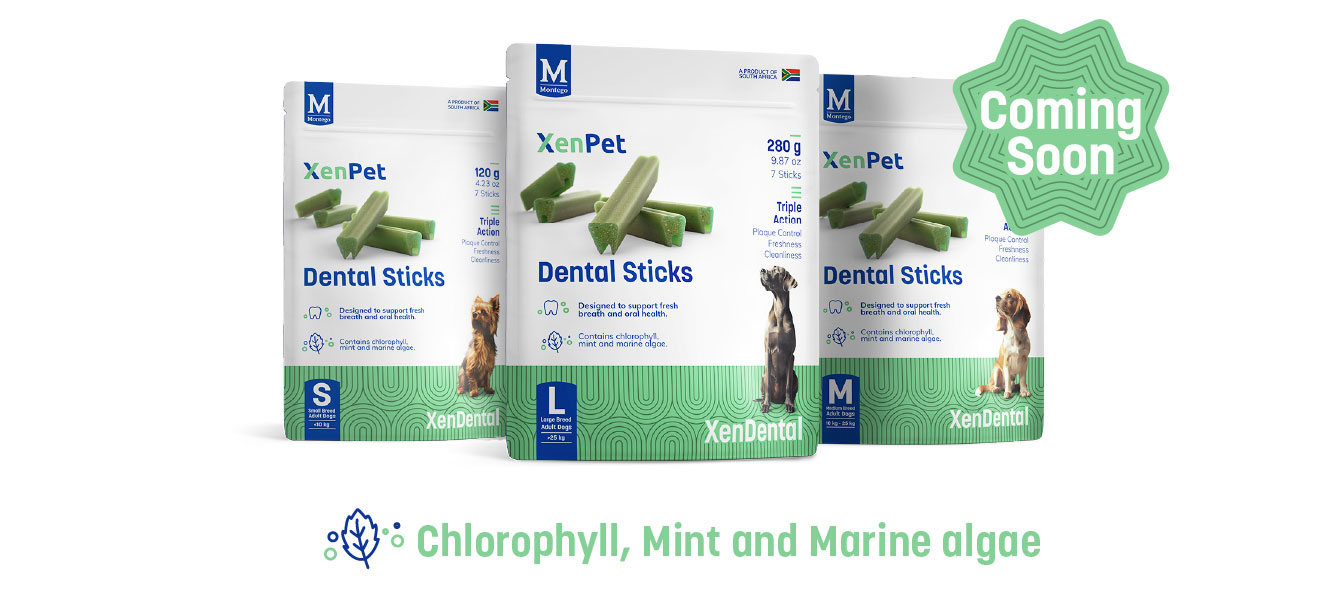 XenDental: Oral Care XenDental: Oral Care
