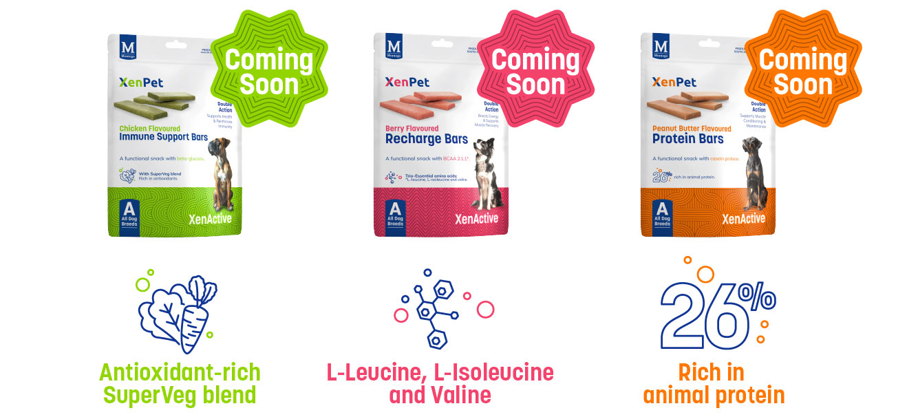 XenActive: Functional Bars XenActive: Functional Bars