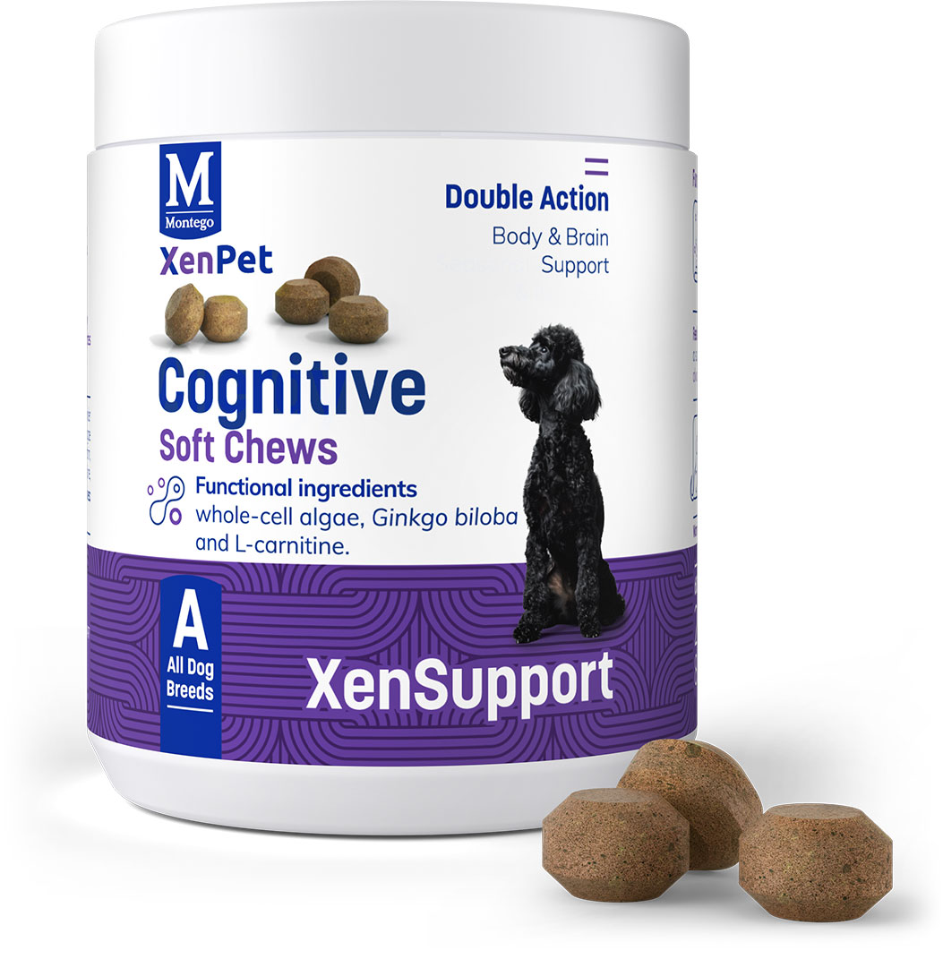 XenPet Supplements - Cognitive Soft Chews