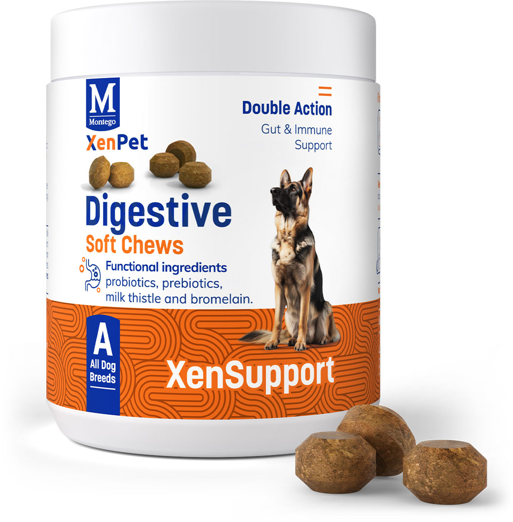 XenPet Supplements - Digestive Soft Chews