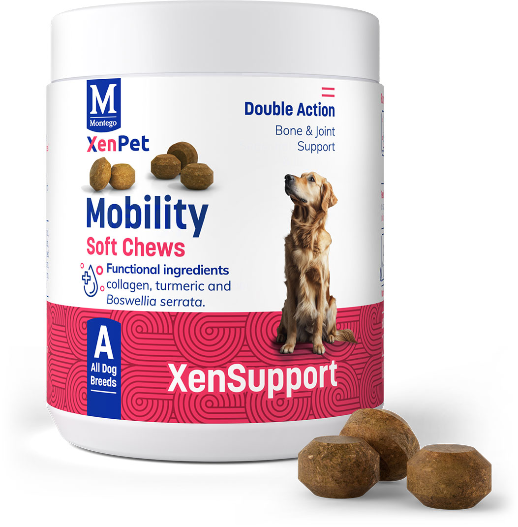 XenPet Supplements - Mobility Soft Chews