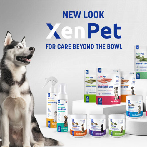 New Look XenPet New Look XenPet