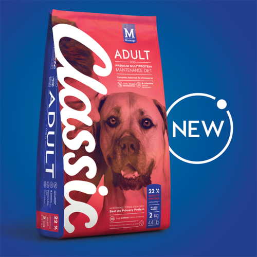 04894 MTGO CLASSIC BEEF EXPANSION LAUNCH BLOG HOME PAGE IMAGE 800 X 800 px