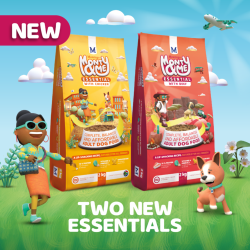 FEATURED BLOG FEATURED BLOG