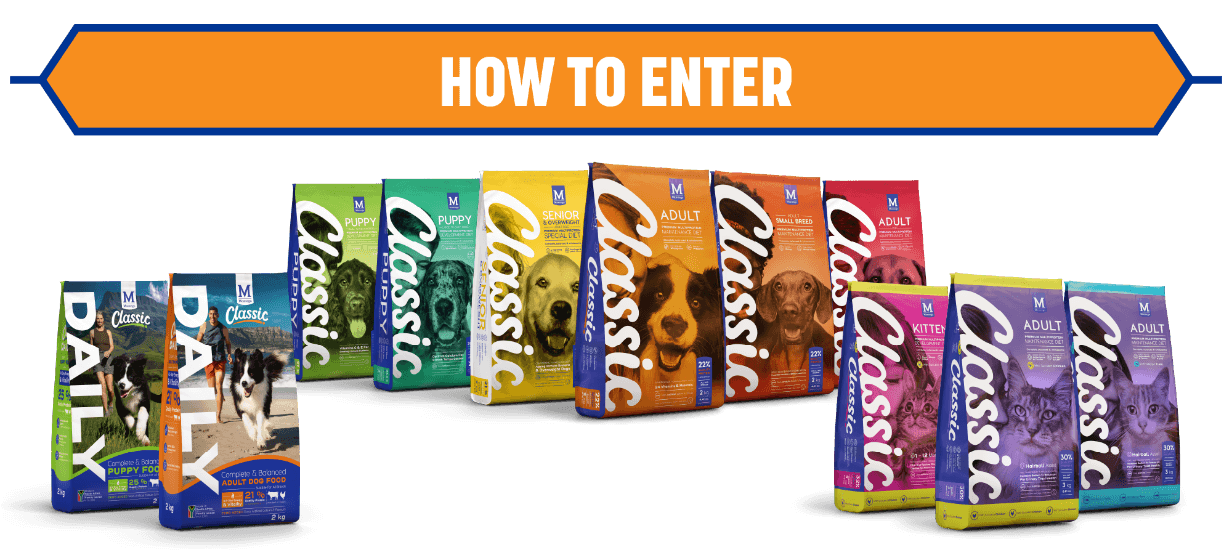 How to Enter How to Enter